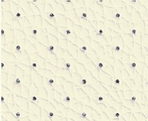 Перфорированная кожа NewLeather. Бежевый 720 Перфорированная кожа NewLeather. Бежевый 720