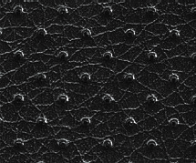 Перфорированная кожа NewLeather. Черный 721 Перфорированная кожа NewLeather. Черный 721
